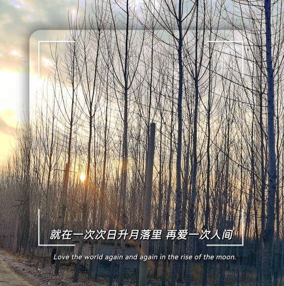 C:\Users\86183\Desktop\1677486540782.png C:\Users\86183\Desktop\1677486540782.png